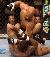 /album/galeria-de-fotos/ufc-jpg/